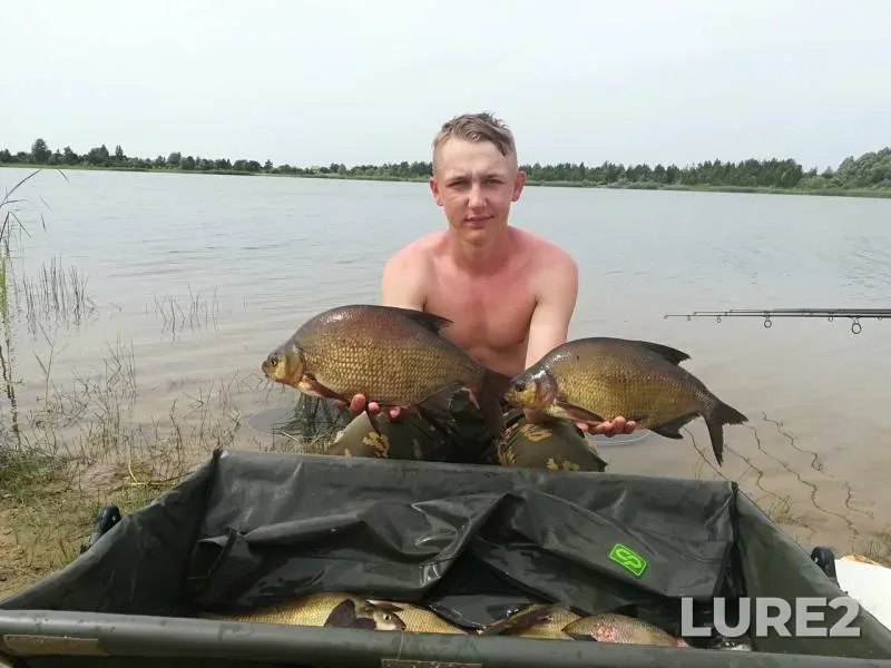 Лещ, Карась — Мышанка, 16 июн. 2019 г.