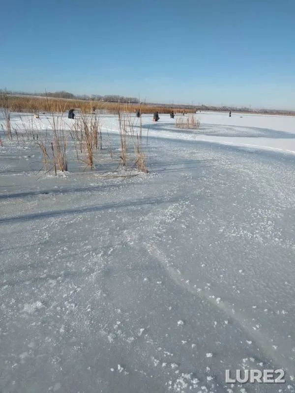 Окунь