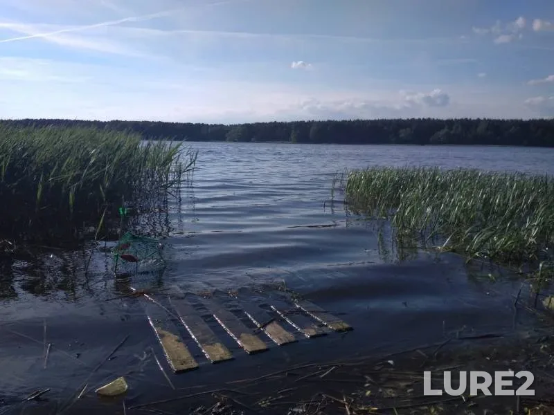 Лещ — Гать, 26 мая 2019 г.