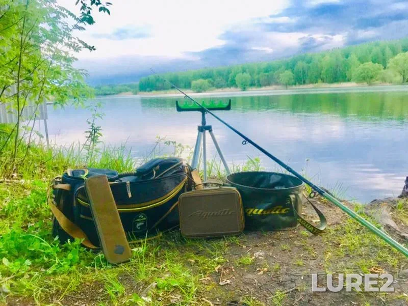 Уклейка, Карась