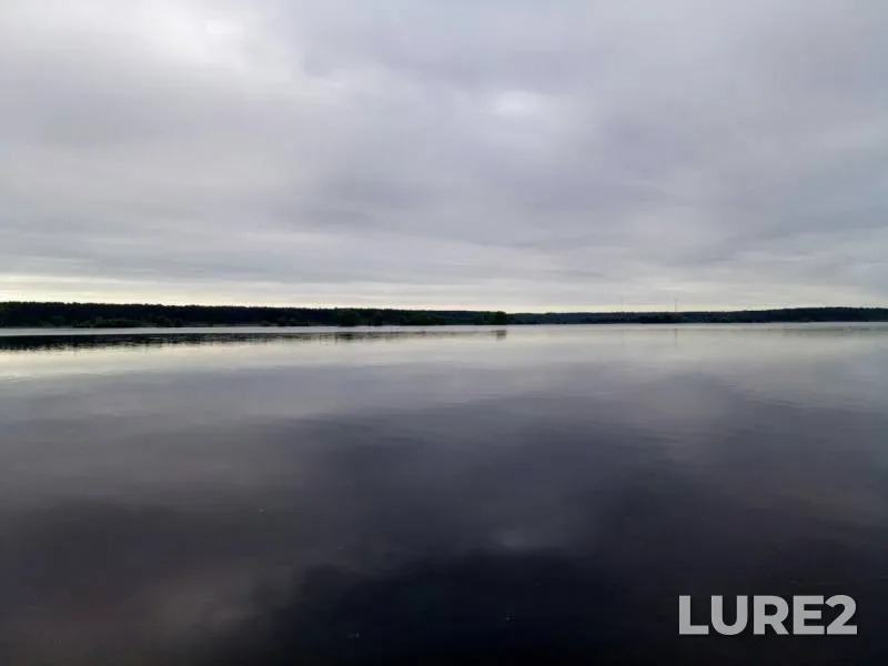 Лещ