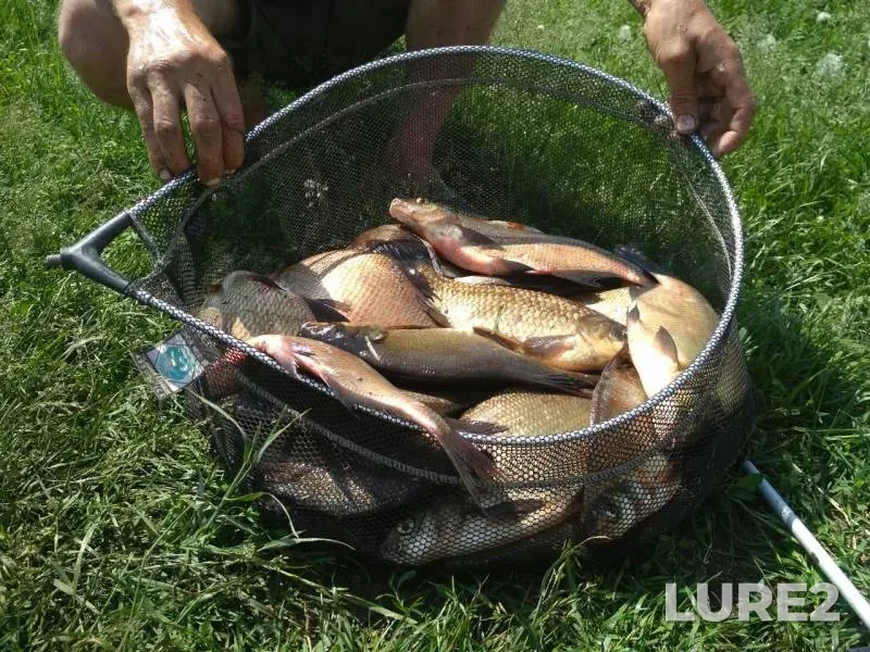 Лещ — Рязанская область, 31 мая 2019 г.