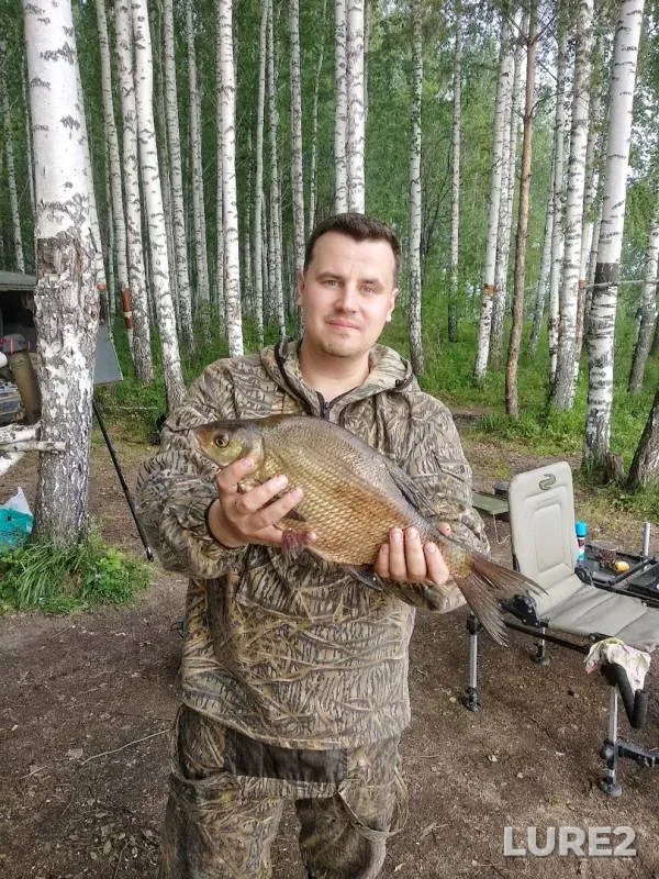Лещ
