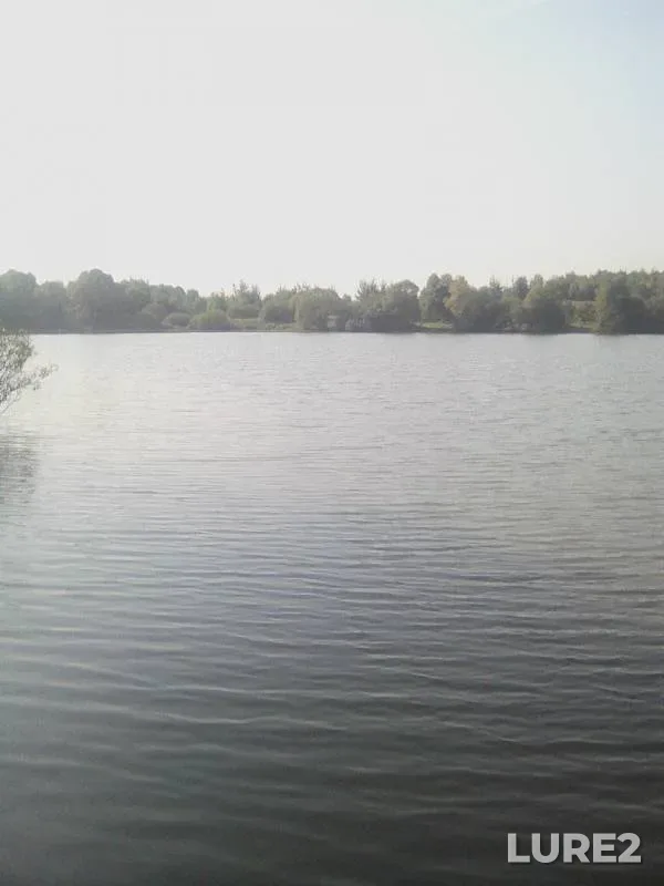Карась