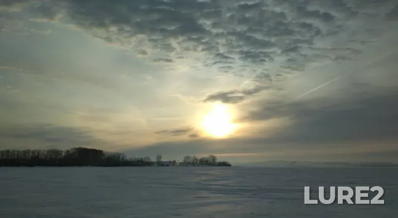Окунь