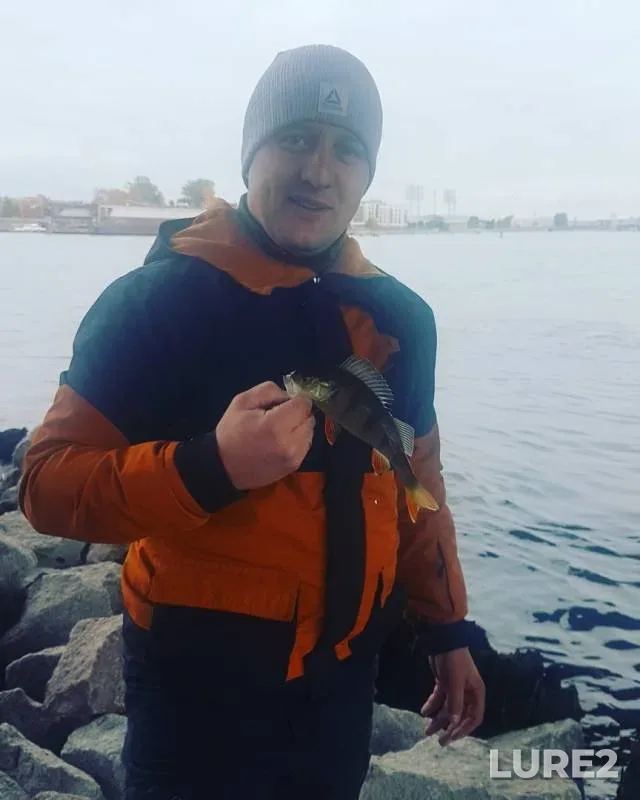 Окунь