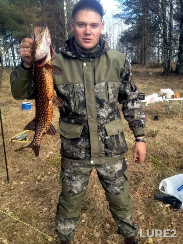 Щука