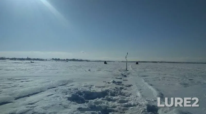 Окунь