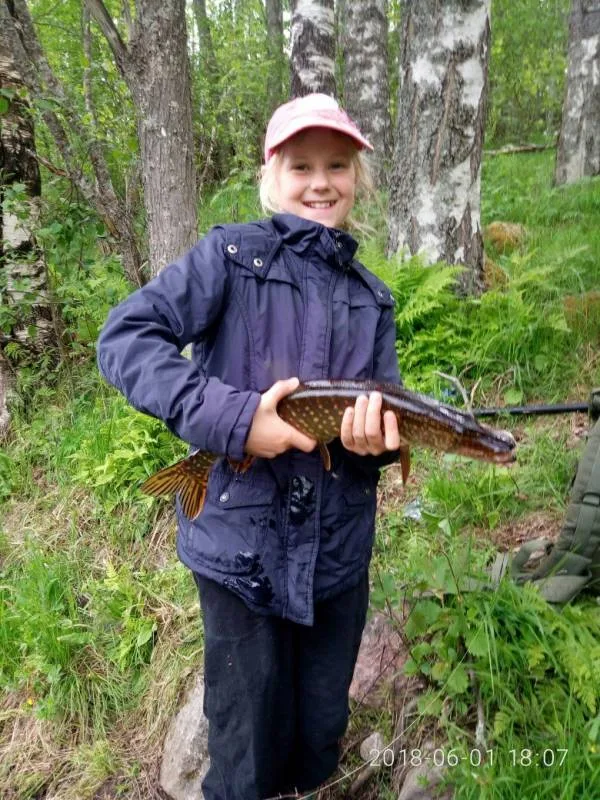 Щука