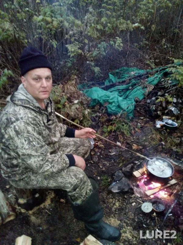 Щука