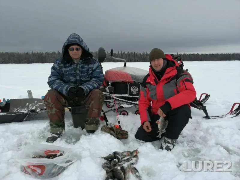 Окунь — Республика Карелия, Медвежьегорский район, 12 мар. 2019 г.