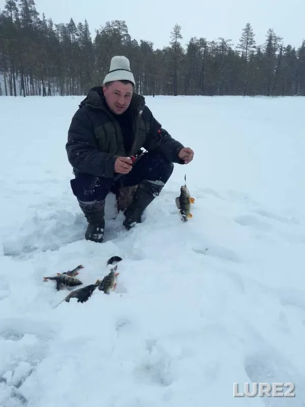 Окунь
