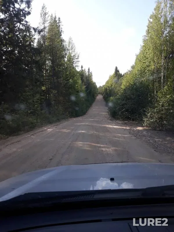 Окунь
