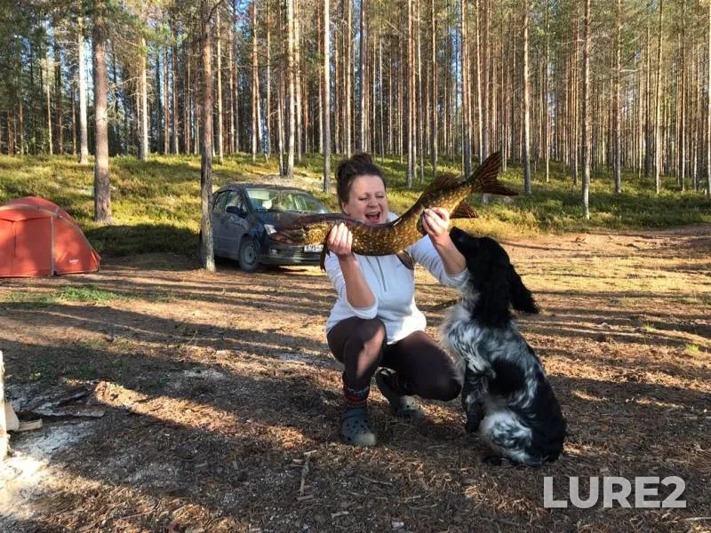 Щука