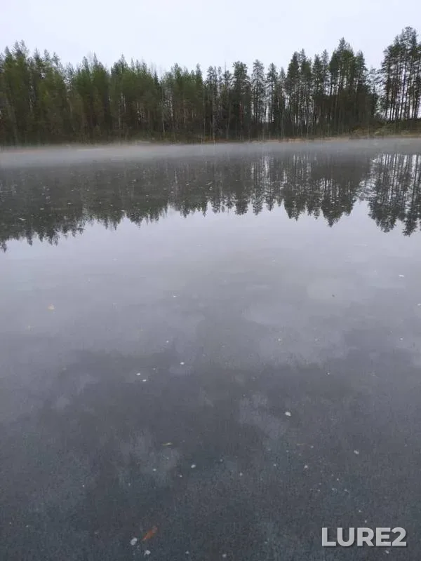 Окунь