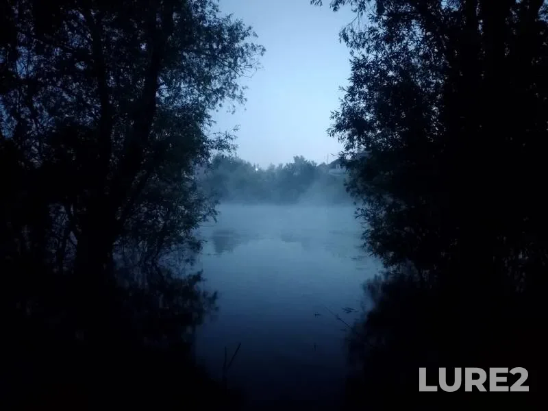 Карась