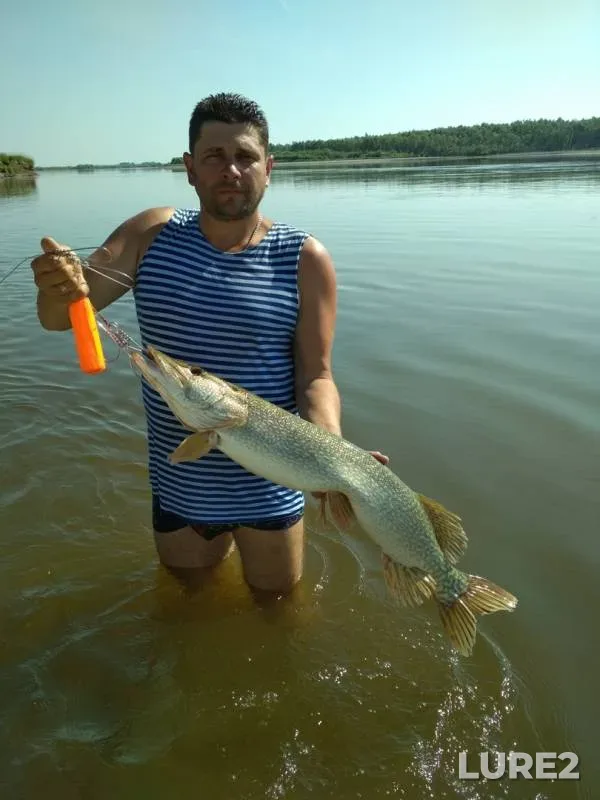 Щука — Иртыш, 03 авг. 2019 г.