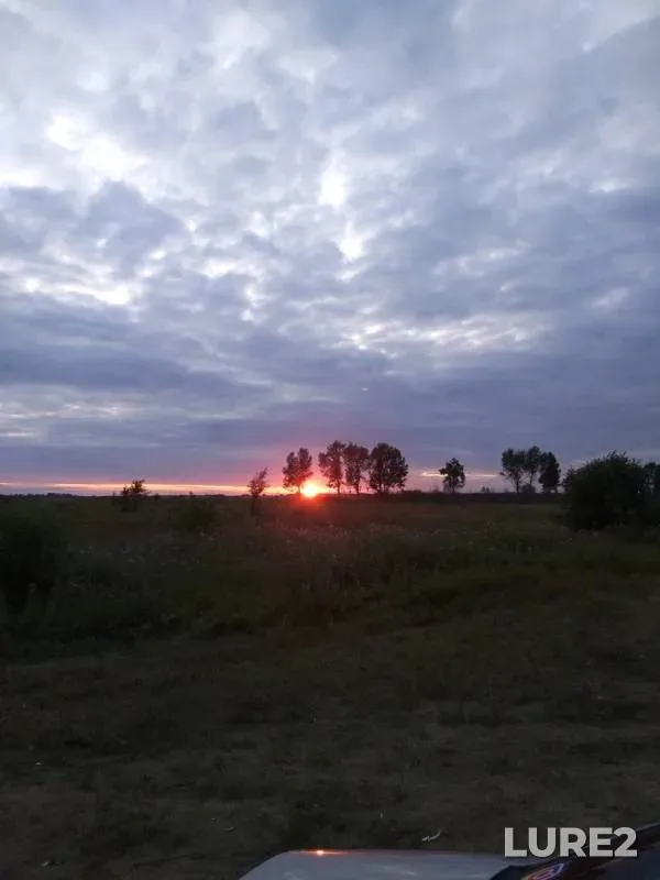 Лещ, Язь — Иртыш, 11 авг. 2019 г.