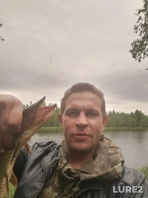 Щука