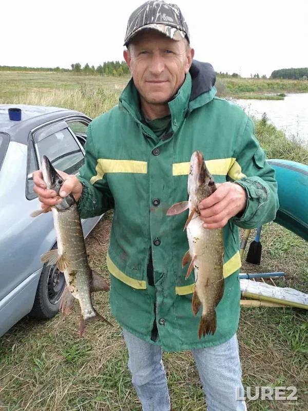Щука — Омская область, Тюкалинский район, 28 авг. 2019 г.