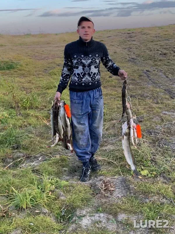Щука