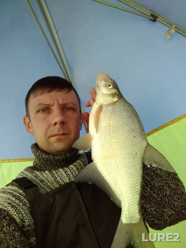 Лещ — Иртыш, 30 нояб. 2019 г.