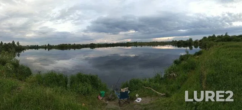 Карась