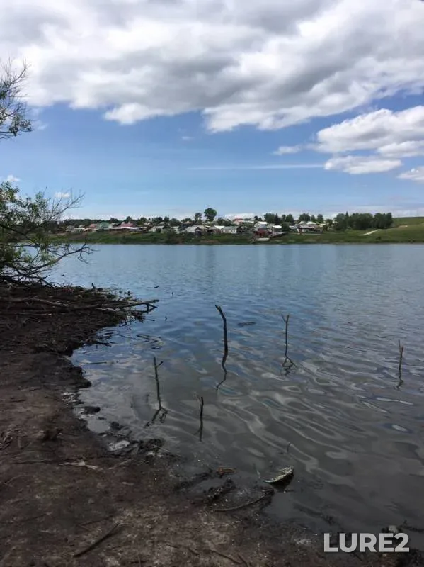 Карась