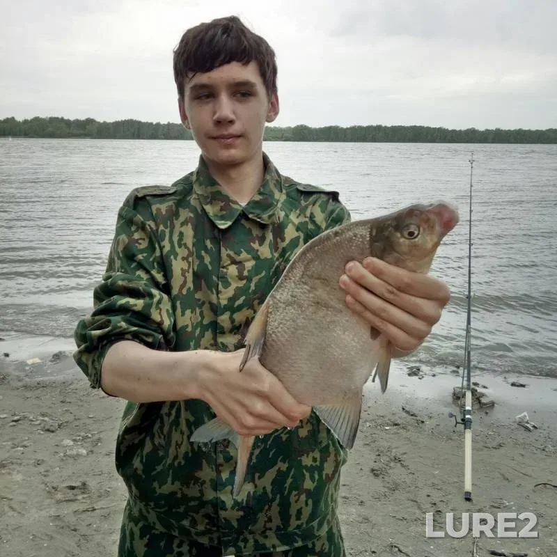 Лещ, Язь