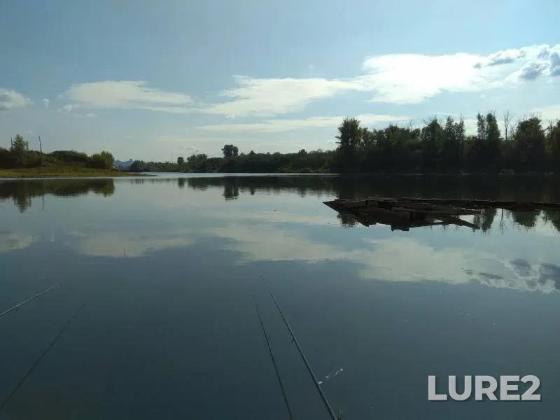 Лещ, Щука