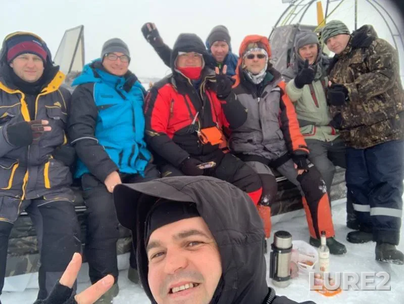 Окунь, Судак