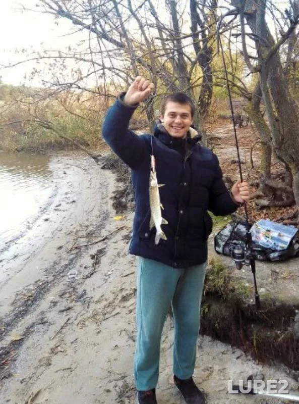 Щука