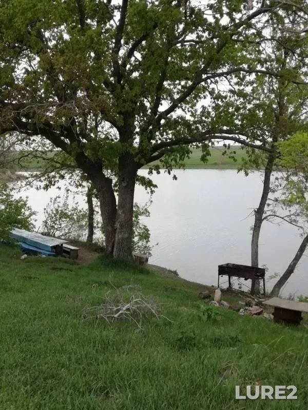 Карась