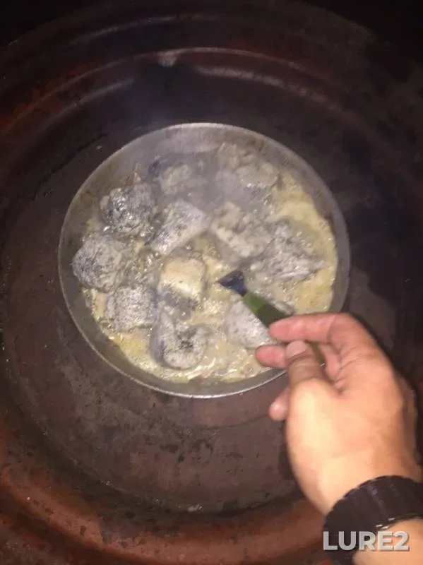 Щука