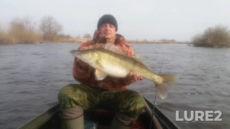 Судак — Гомельская область, Житковичский район, 03 мар. 2019 г.