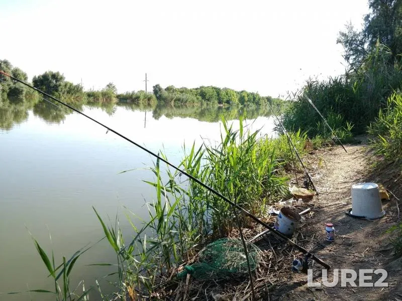 Карась