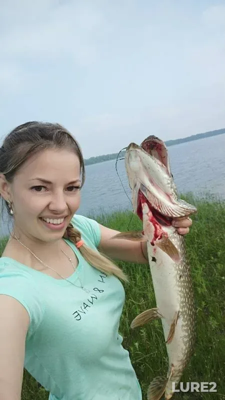 Щука