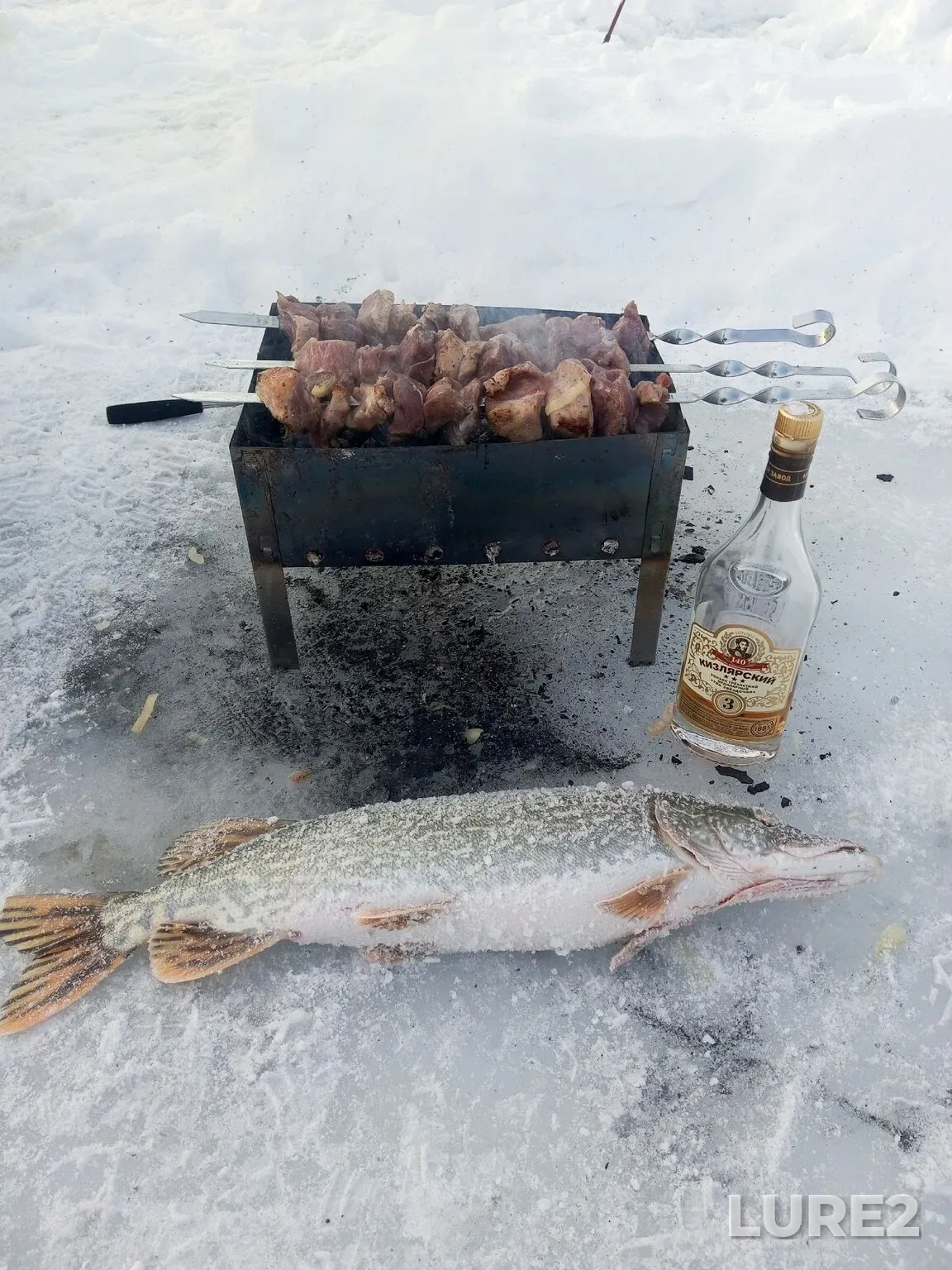 Щука — Тептярги, 12 янв., 23:35