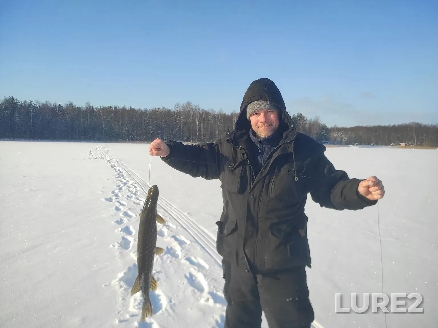 Щука — Коломенское, 12 февр., 11:46