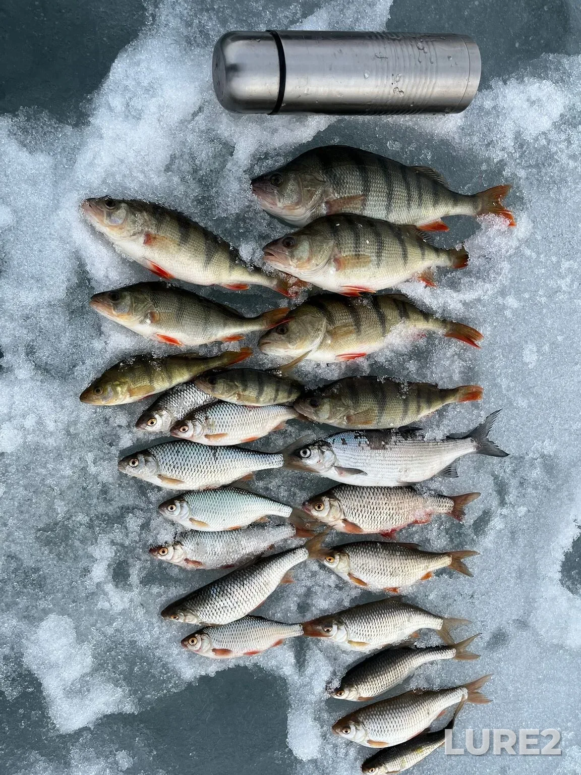 Окунь — Асликуль, 10 апр., 12:30