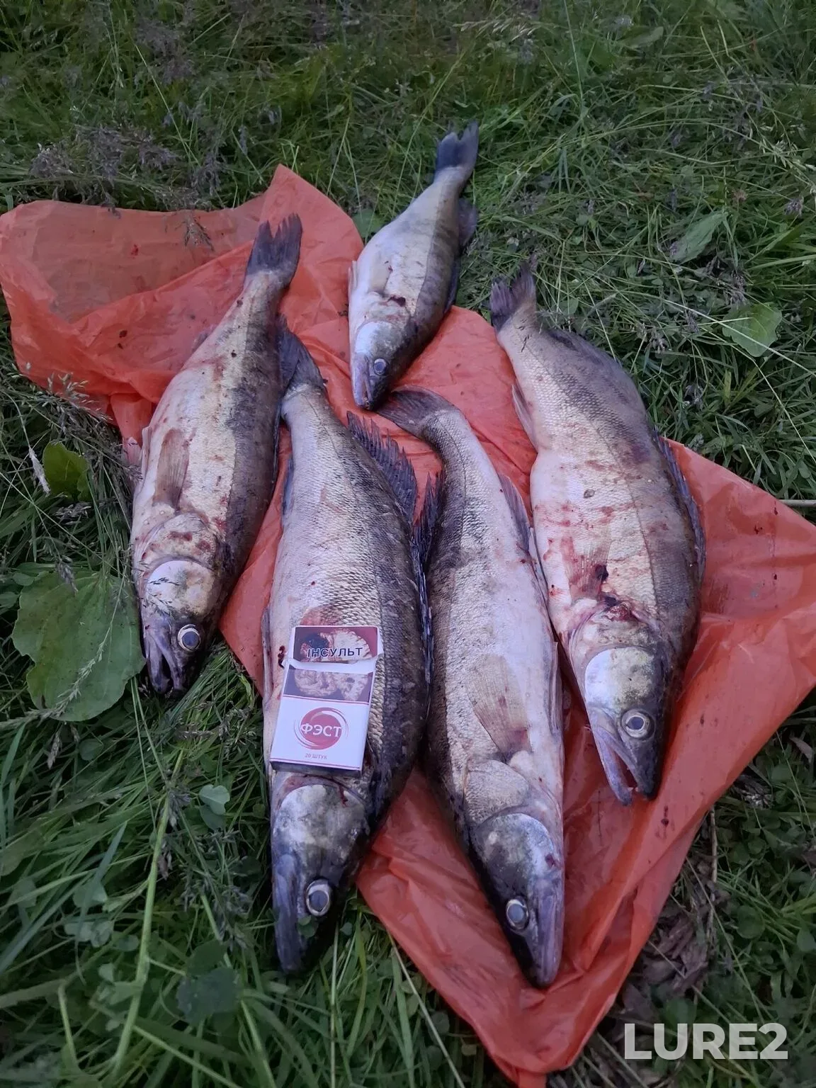 Судак — Горьковское, 17 июн., 05:43